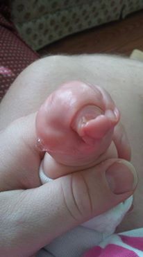 16832406_10210887508177368_4544935129564259654_n